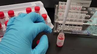 Blood Banking How to Perform a Gel Antibody Identification Panel [upl. by Stoneman]