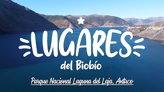 Lugares del Biobío 8  Parque Nacional Laguna del Laja Antuco  Drone [upl. by Aliled]