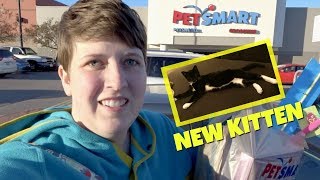 PETSMART VLOG  SHOPPING FOR A NEW KITTEN [upl. by Huntington189]