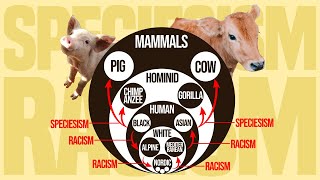 Speciesism And Racism are Inherently the Same Thing 🐒 Vegan Animal Rights Philosophy [upl. by Adnoved]