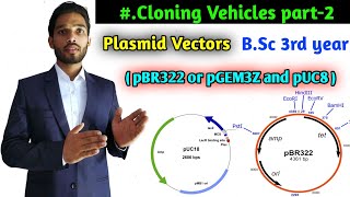 What is Plasmid vectors  pBR322 plasmid vector  pUC8 plasmid vector  BSc 3rd year zoology [upl. by Emelin581]