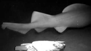 A false catshark deep in the Coral Sea [upl. by Manvel]