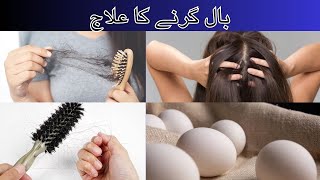 Natural Remedy for Hair Fall  Egg Fenugreek Amla Powder Taramera Oil and Castor Oil Treatment [upl. by Noivert]