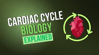 Cardiac Cycle Wiggers Diagram Explained [upl. by Erich]