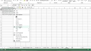 How to Change a Text to Display to a Hyperlink Address in Excel  MIcrosoft Excel Tips [upl. by Llesirg286]