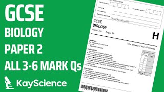 GCSE Biology Paper 2  5 Homeostasis amp Response  Exam Questions amp Answers Revision 36 mark Qs [upl. by Delwyn18]