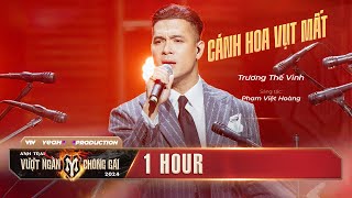 1 HOUR Cánh Hoa Vụt Mất  ANH TÀI TRƯƠNG THẾ VINH [upl. by Saddler]