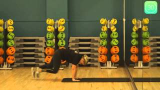 How To Do Mountain Climbers Exercise [upl. by Atsed]