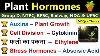 Plant Hormone  Theory And MCQs  Plant Hormone Gk  Biology Gk Plant Hormone  Science Gk [upl. by Halihs]