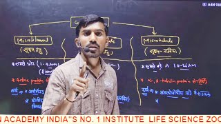 Centrosome centriolemicrobodies cytoskeleton Cell biology NEET part 9by TULCHHA RAM sir [upl. by Sheeran957]