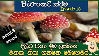 AL Biology short cuts part 18 kingdom Fungi bio keti krama දිලීර [upl. by Turro129]