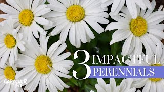 3 Impactful Perennials for Your Garden  Gardener in Love [upl. by Ogren]