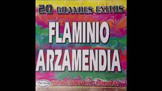 Flaminio Arzamendia  quot20 Grandes Éxitosquot The Song [upl. by Navek]