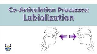 CoArticulation Processes Labialialization [upl. by Arney]