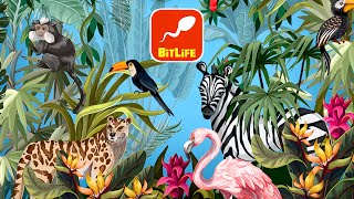 BITLIFE ZOOKEEPER EXPANSION PACK [upl. by Eiloj]