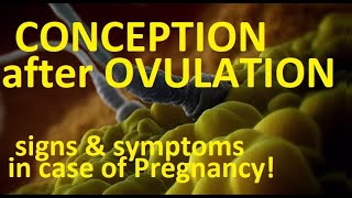 💥OVULATION and 👶 Conception Dates 🔎Signs How to Recognize🔎 [upl. by Oiratno]