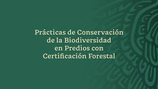 Webinar Prácticas de conservación de la biodiversidad en predios con certificación forestal [upl. by Ejroj]