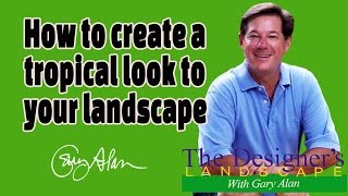 How to create a Tropical landscape in your yard Designers Landscape612 [upl. by Herrick]