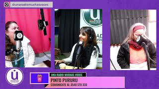 PINTO PURURU entrevista martes 30 de julio [upl. by Eckardt]