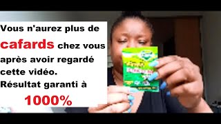 Comment se débarrasser de cafards dans votre maison en 2 jours  Un seul produit [upl. by Namijneb]