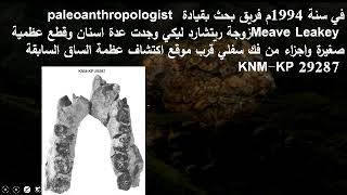 32 تطور الانسان النصف الأول من الجزء السادس عشر ومرحلة Australopithecus anamensis [upl. by Heady]