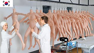 Korean Factory Creating UltraRealistic Human Bodies AMAZED the World [upl. by Ynaffets32]