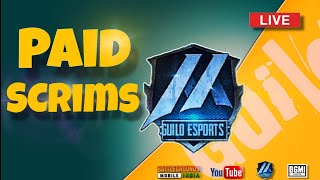 GUILD ESPORTS DAILY PAID SCRIMS [upl. by Pega]