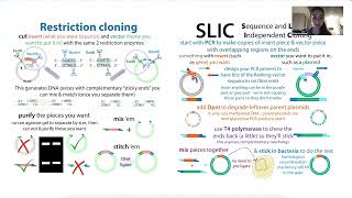 Choosing vector plasmids and subcloning [upl. by Presber623]