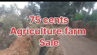 75 cents Agriculturefarm land sale near Shoolagiri [upl. by Diarmit512]