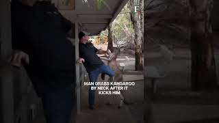 WATCH A Dramatic Brawl between Man amp A Kangaroo At An Australian Wildlife Park [upl. by Cirdnek]