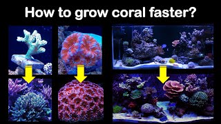 Are your corals not growing fast enough Let me see if I can help [upl. by Reiss659]