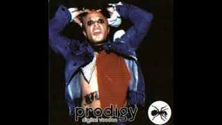 The Prodigy  Poison [upl. by Hammad]