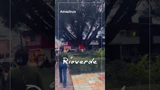 Rioverde San Luis Potosí amadeusrioverde [upl. by Ainod]