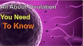 All About Ovulation 19 Facts About Ovulation You Need To Know ovulation or pregnancy Pregnancy Term [upl. by Nyved55]