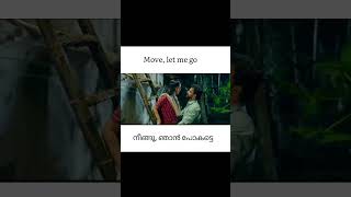 Theevandi Movie Song  Jeevamshamayi  Lyric Video  August Cinemas  Kailas Menon  Shreya Ghoshal [upl. by Roda]