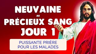 🙏 NEUVAINE au PRÉCIEUX SANG Jour 1 🩸 Puissante Prière pour les Malades [upl. by Krauss]