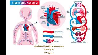 Rapid Circulation Physiology Guyton Ch 15 part 1 [upl. by Stutsman]