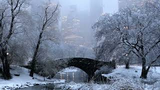 Central Park on a Snowy Evening [upl. by Analak]