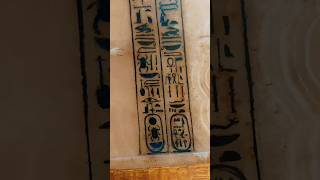 King TUT egypt ancientegypt history highlights pyramids travel youtubeshorts museum art [upl. by Cirdes]