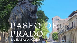 Paseo del Prado La Habana Cuba 2024 4K [upl. by Sension700]