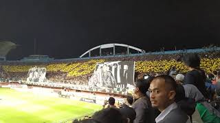 Full Koreo Brigata Curva Sud  PSS VS PERSIJA [upl. by Quartus786]