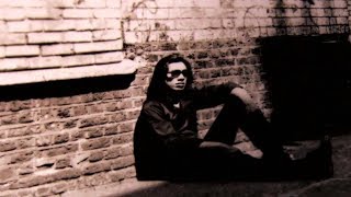 Sixto Rodriguez  Crucify Your Mind Tłumaczenie PL [upl. by Hamer]