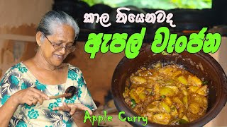 ඇපල් වෑංජන අත්තමමයි මමයි  Apple curry Grandmaamp me  Apple Wanjana aththammai mamai [upl. by Bullivant907]