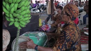 Status van de Javaan anno 2019 in Suriname [upl. by Enitnemelc]