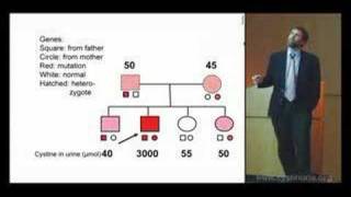 The Genetics and Inheritance of Cystinuria [upl. by Tnattirb]