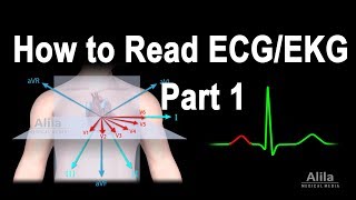 How to Read ECGEKG Part 1 Animation [upl. by Oren]