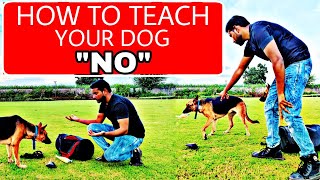 German Shepherd Training Day 7  How to train your dog quotNOquot Basic obedience in Hindi Jack amp Jill [upl. by Mikiso]