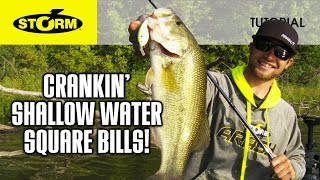 Square Bill Crankbaits in Shallow Water HOW TO FISH [upl. by Acinot]