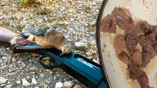 Dove Hunt Catch and Cook with New Dove Recipe  Nevada Youth Hunter [upl. by Abad913]