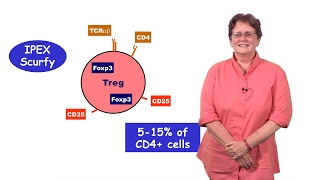 Diane Mathis Harvard 1 An Introduction to T Cell Tolerance [upl. by Aihsined]